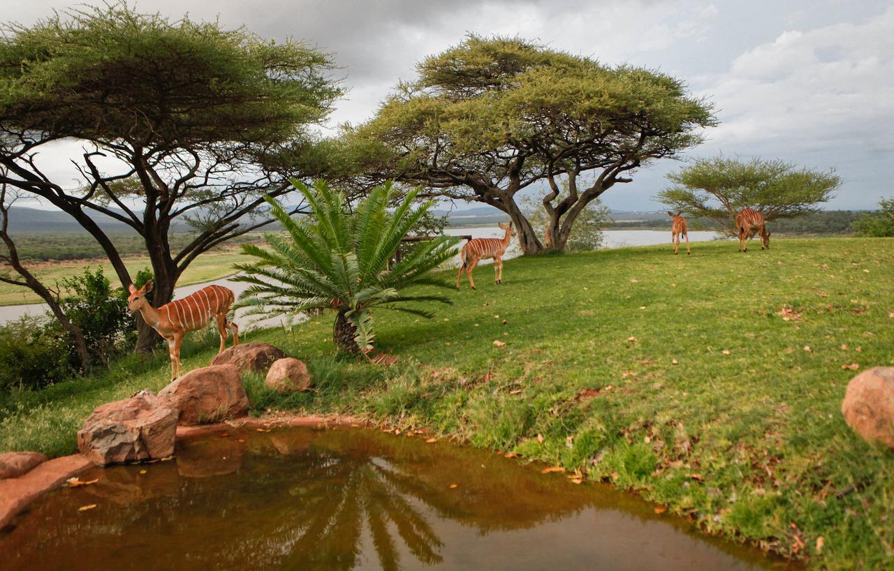 Nkwazi Lake Lodge Понгола Екстериор снимка